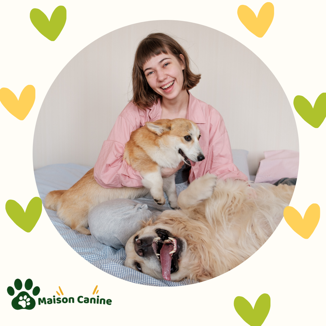 🐾 Les gestes essentiels pour le bien-être quotidien de votre chien et chat