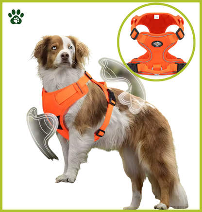 Harnais Réfléchissant en Nylon