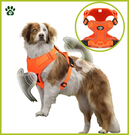 Harnais Réfléchissant en Nylon