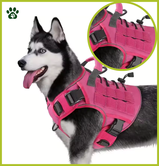 Harnais Tactique Réglable