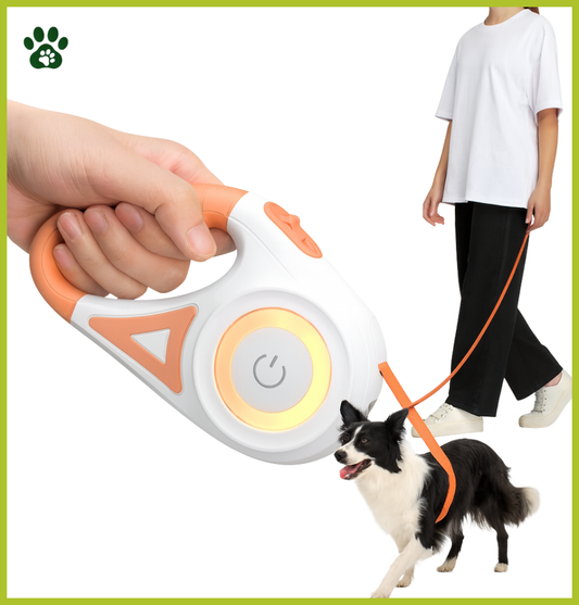 Laisse Rétractable avec Lumière LED