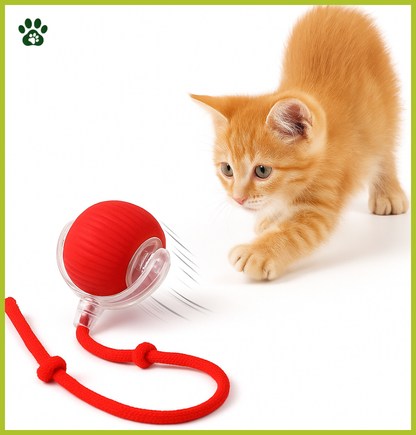 Boule Roulante Automatique