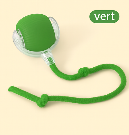 Boule Roulante Automatique