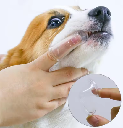 Brosse à Dents Ultra Douce pour Chiens