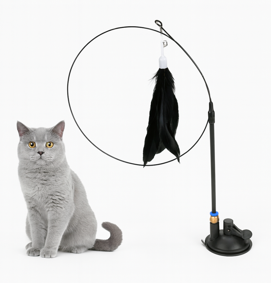 Jouet Interactif à Ventouse avec Plume - Pour Chats et Chatons