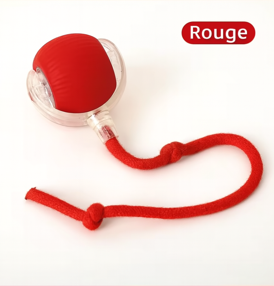 Boule Roulante Automatique