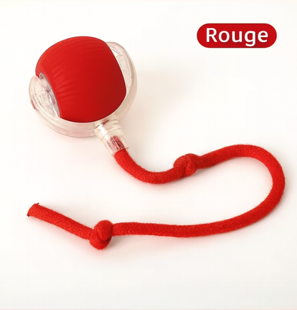 Boule Roulante Automatique