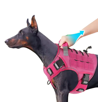 Harnais Tactique Réglable