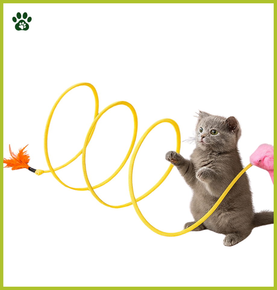 SpiraloPlay – Jouet Ressort Interactif pour Chat
