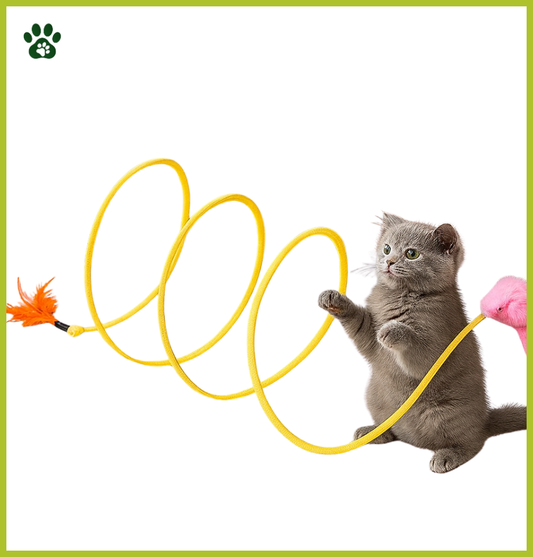 SpiraloPlay – Jouet Ressort Interactif pour Chat