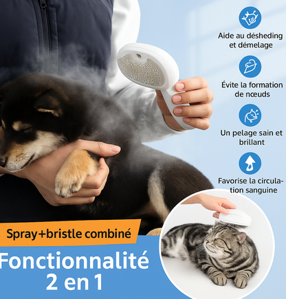 Brosse de Nettoyage et de Soin pour Chiens et Chats