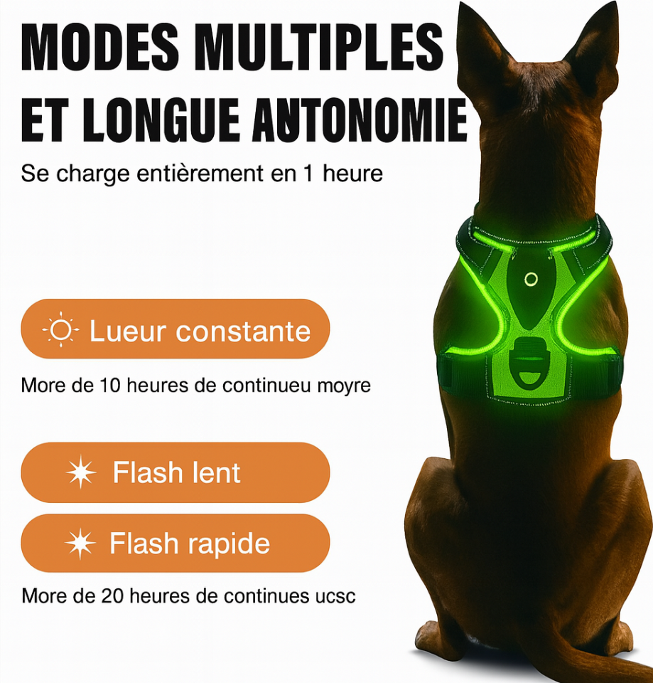 Harnais Lumineux LED Rechargeable