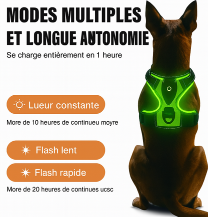 Harnais Lumineux LED Rechargeable