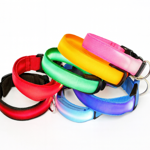Collier Lumineuse LED pour Chien