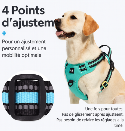 Harnais Rétractable SFP