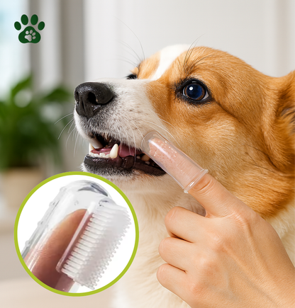 Brosse à Dents Ultra Douce pour Chiens