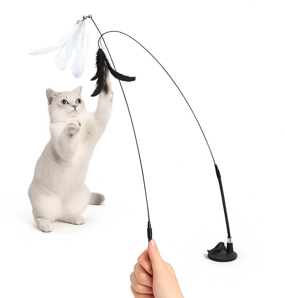 Jouet Interactif à Ventouse avec Plume - Pour Chats et Chatons