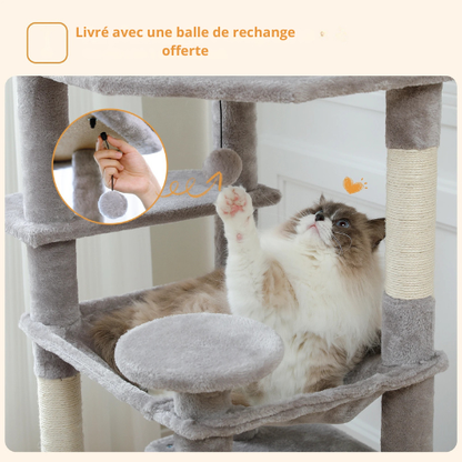 Arbre à Chat Multi-Niveaux