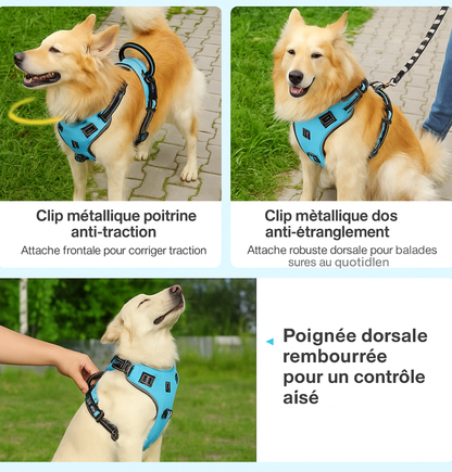 Harnais Rétractable SFP