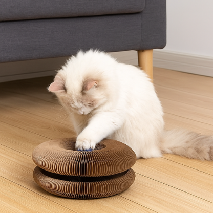 Planche à Gratter Magnétique Pliable pour Chat