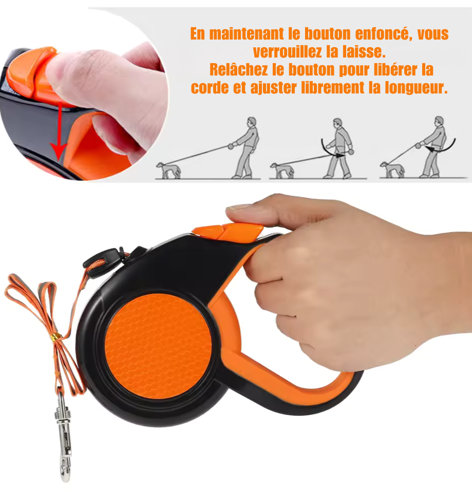 Laisse Rétractable Ultra-Résistante