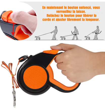 Laisse Rétractable Ultra-Résistante