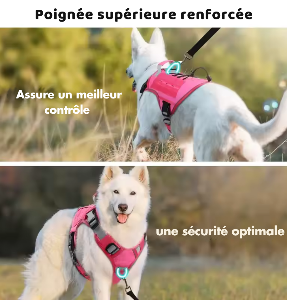 Harnais Tactique Réglable