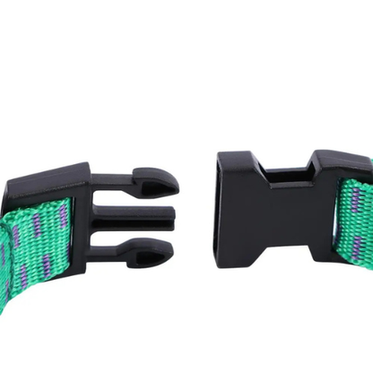 Collier Protecteur Anti-Parasites pour Chien