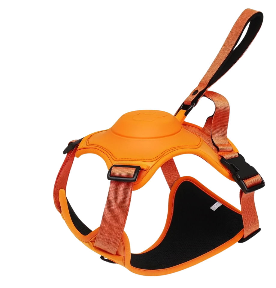 Harnais Réglable avec Laisse Rétractable Intégrée