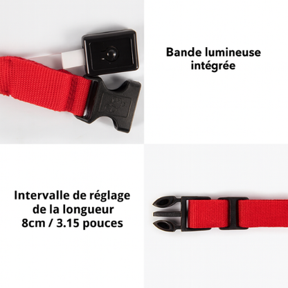 Collier Lumineuse LED pour Chien