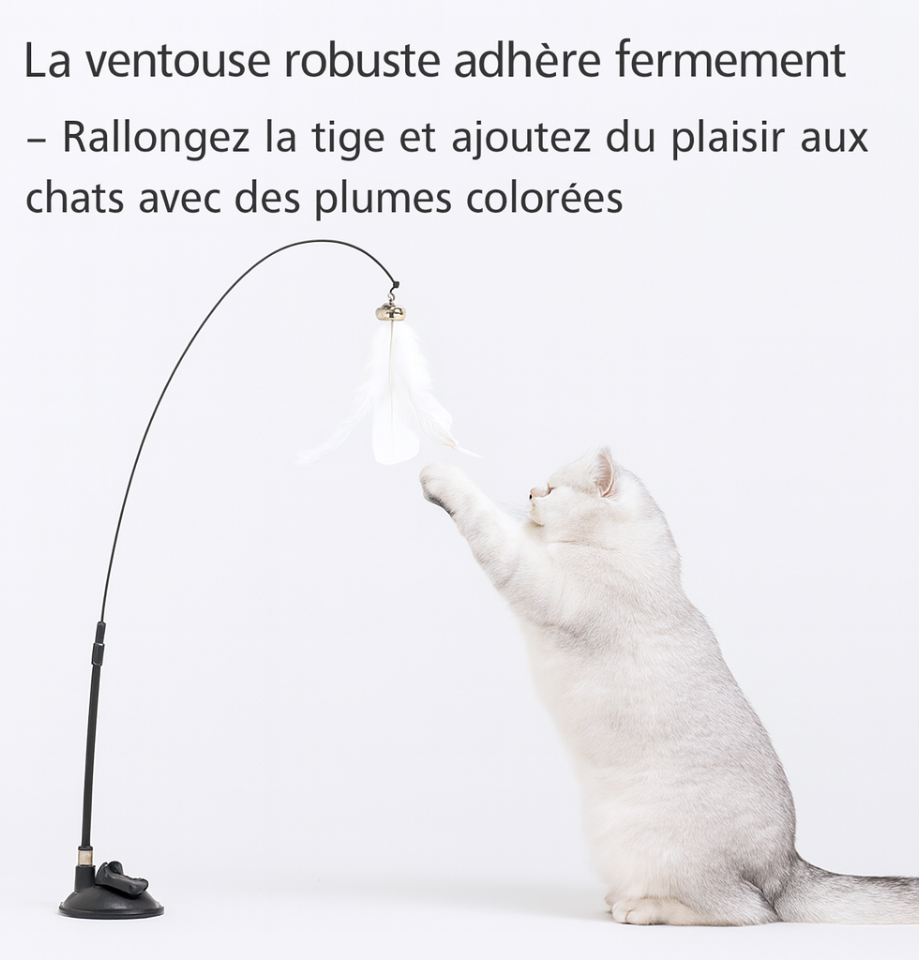 Jouet Interactif à Ventouse avec Plume - Pour Chats et Chatons