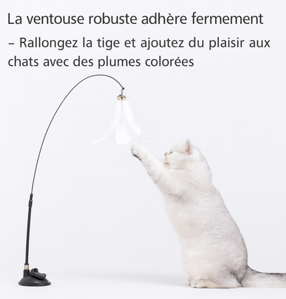Jouet Interactif à Ventouse avec Plume - Pour Chats et Chatons
