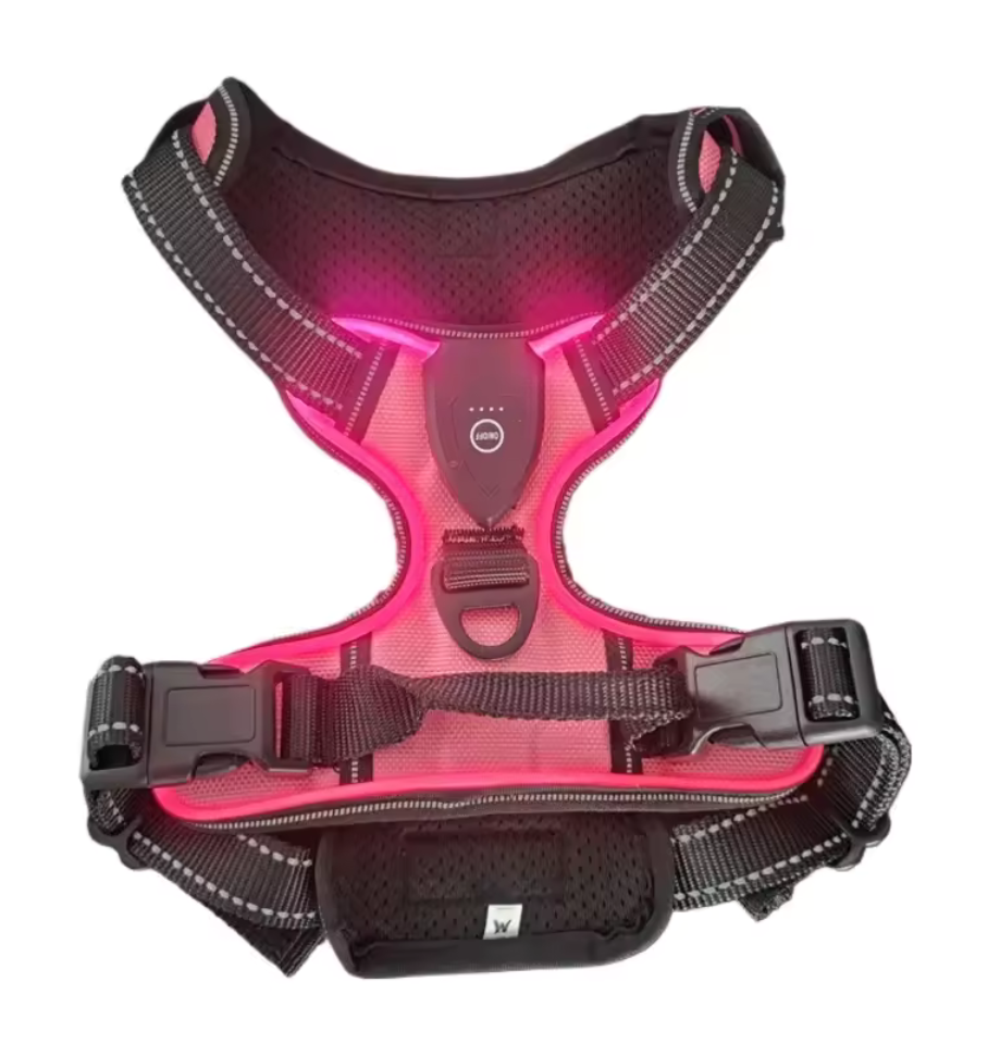 Harnais Lumineux LED Rechargeable