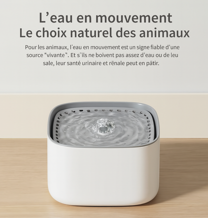 Fontaine Automatique Intelligente pour Chats et Chiens