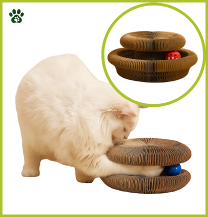Planche à Gratter Magnétique Pliable pour Chat