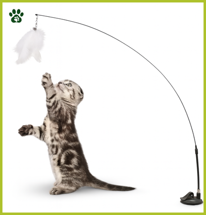 Jouet Interactif à Ventouse avec Plume - Pour Chats et Chatons
