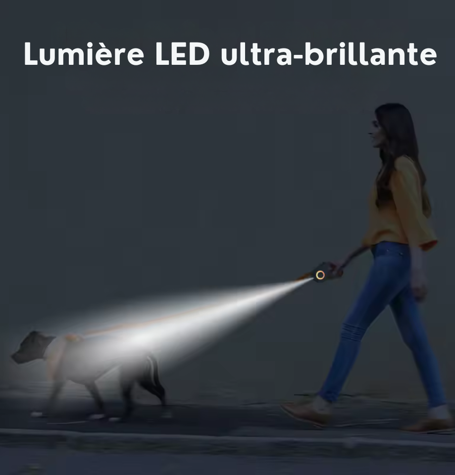 Laisse Rétractable avec Lumière LED