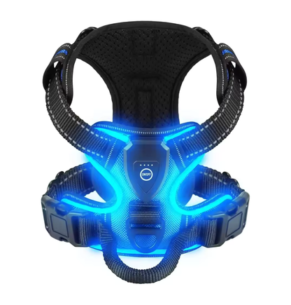 Harnais Lumineux LED Rechargeable