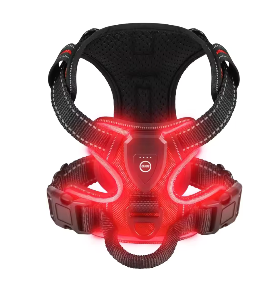 Harnais Lumineux LED Rechargeable