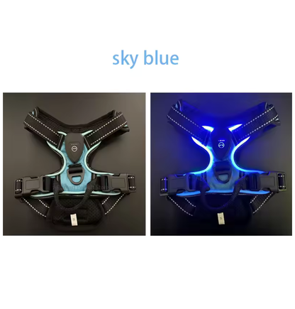 Harnais Lumineux LED Rechargeable